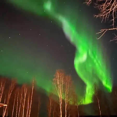 Aurora River Rovaniemi