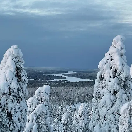 Aurora River - Private Location & Sauna * Rovaniemi